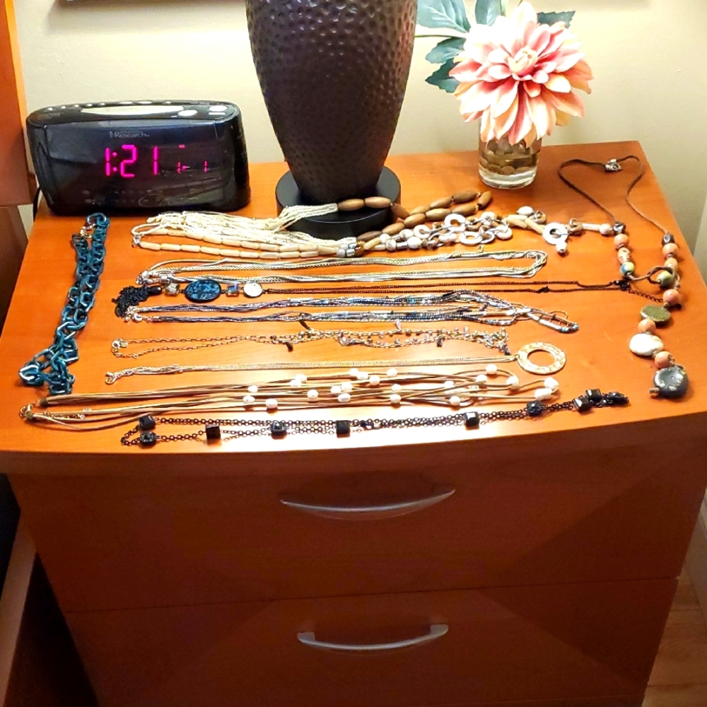 Assorted Fashion Necklaces Bundle